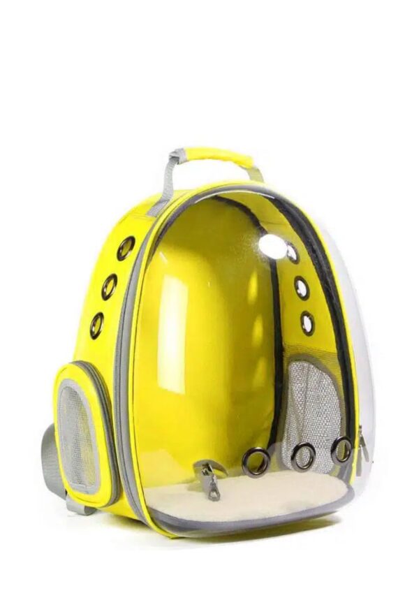Cat Back Bag