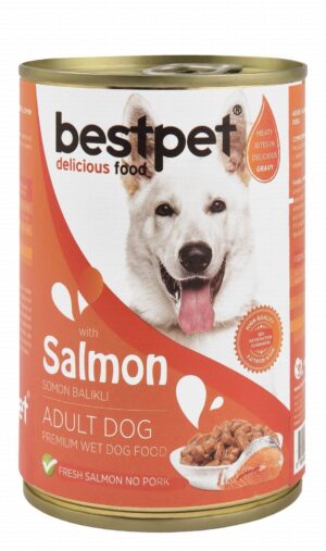 Bestpet Wet Food Chunks with Salmon In Gravy for Adult Dogs 400 gr