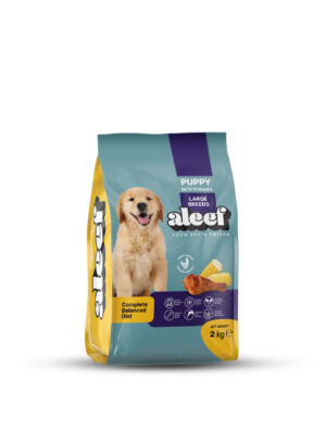 Aleef - Large breed puppy 2KG