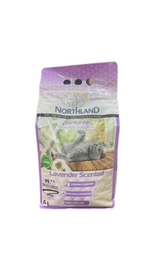 North land - Image 3